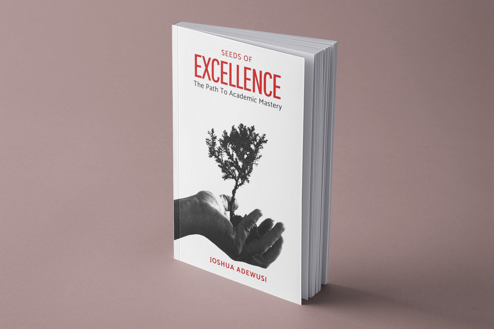 Book Cover Image 2