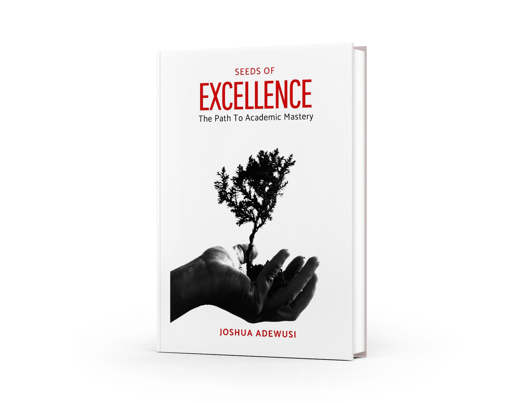 Book Cover Image 1